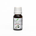 Jasmine Extract